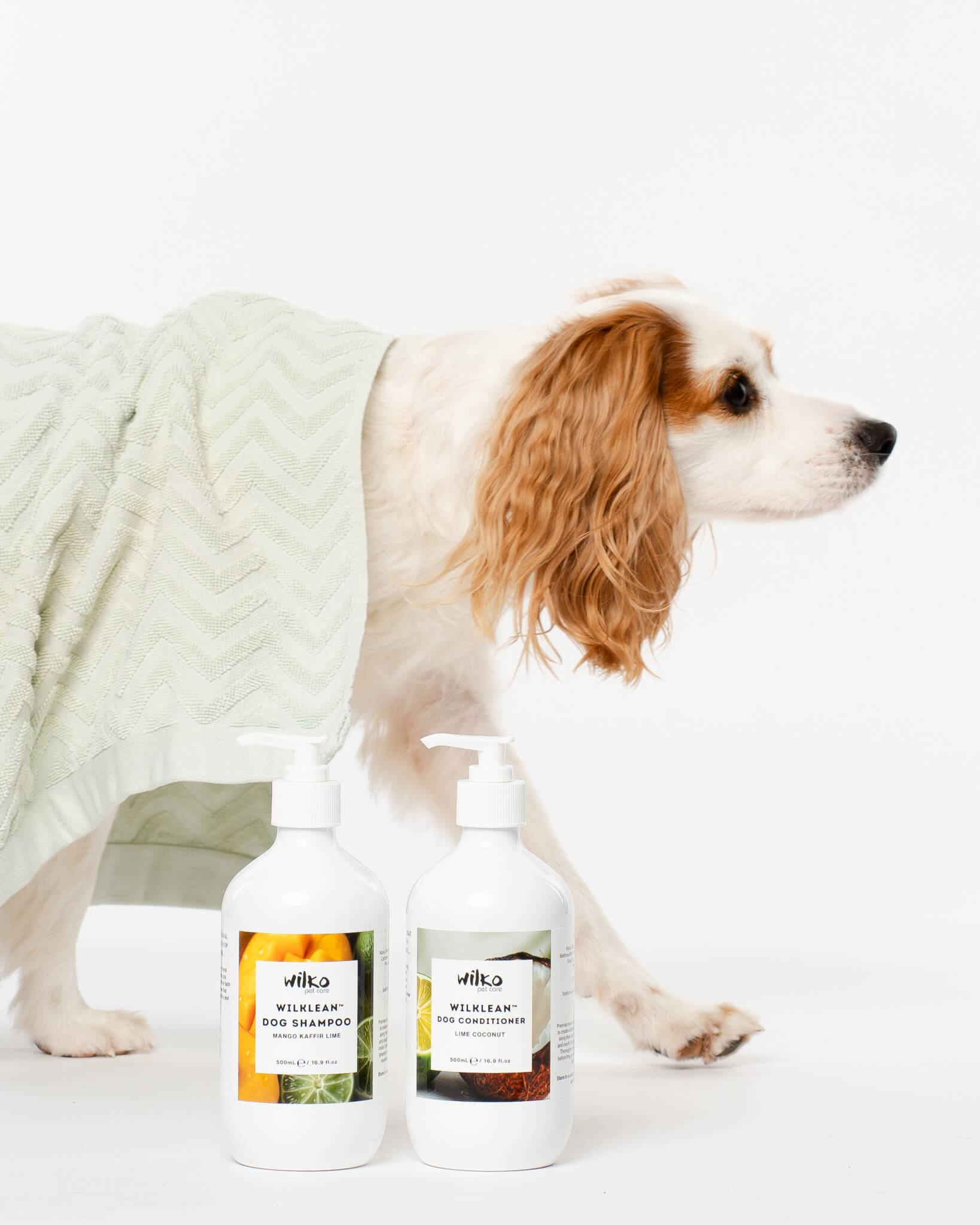 product photos for pet business